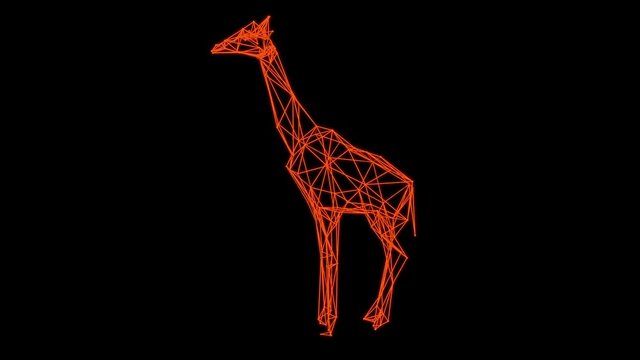 3d rendering - wireframe model of Isolated giraffe Hologram  rotate.