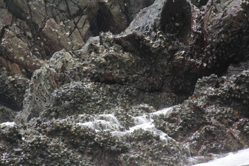 Great sea The sky and waves flow into the shore at intervals, with beautiful waves bubbling at the rocks to splash water.