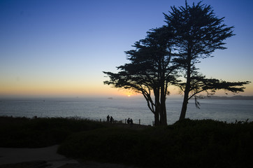 Sun set tree Silhouette