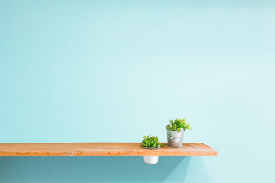Wooden shelf on blue vintage wall with green plant.