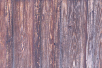 Wood Texture