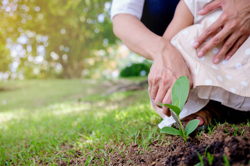 Little girl planting tree in a garden. Earthday concept. .