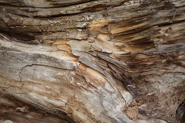 Background of wood.