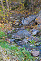 Fototapeta na wymiar Stream in autumn forest