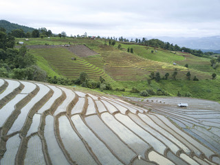 Fototapeta na wymiar Aerial view rice field terrace on the morning in Chiang mai, Thailand.