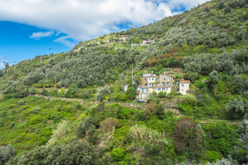 Fototapeta na wymiar a view from the azure path (the path of Love), passing through the Cinque Terre park to Monterosso al Mare, Vernazza, Corniglia, Manarola and Riomaggiore