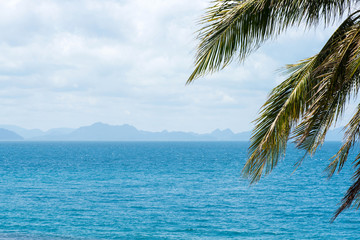 beautiful sea with coconut palm.