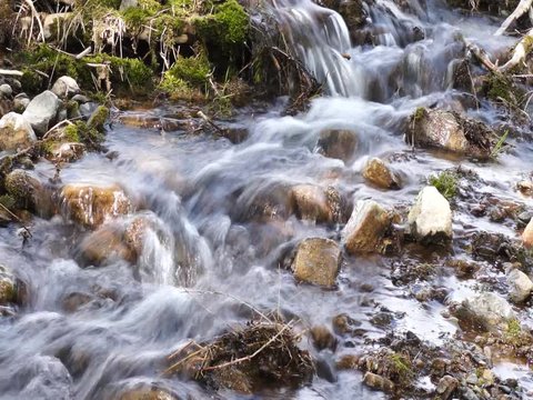 Surface of a small quick brook, long exposure