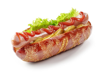 fresh hot dog on a white background