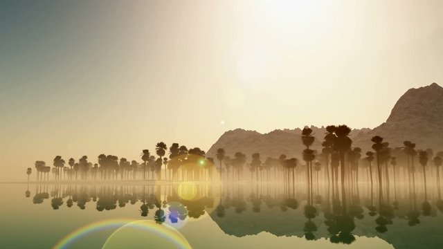 Tropical jungle background with palm tree silhouettes on island at sunset