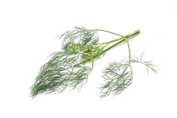 Dill