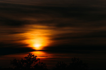 Fototapeta na wymiar African sunset in orange sky and tree silhouette