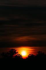 Fototapeta na wymiar African sunset in orange sky and sun laying down between trees s