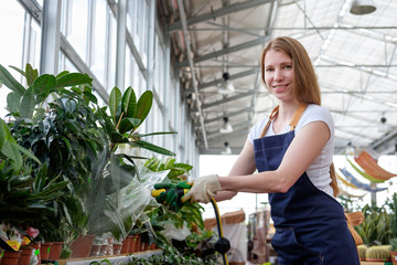 Obraz premium redhead young woman worker in plant market greenhouse pouring plants and smiling
