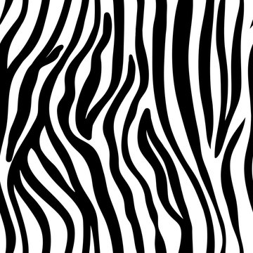 vector seamless black and white pattern of zebra