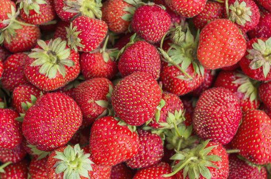 Natural strawberry. Image for background.