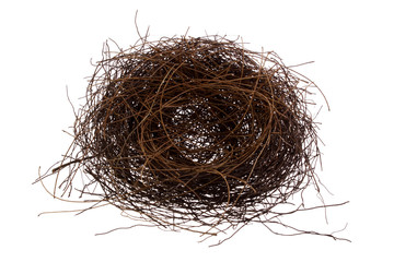 Bird's Nest
