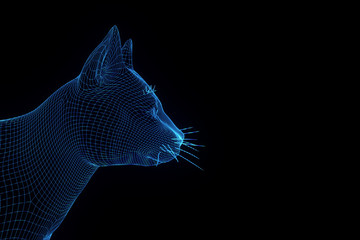 Cat in Hologram Wireframe Style. Nice 3D Rendering
- 162807426