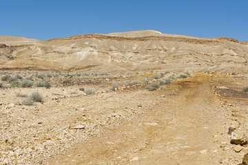 Fototapeta na wymiar Landscape of the desert in Israel