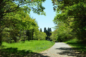 初夏の散歩道