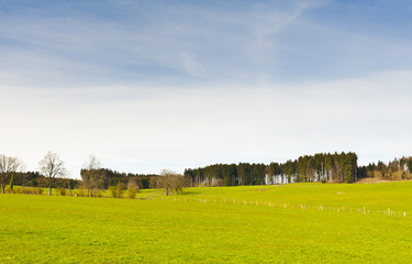 Swiss landscape with meadows