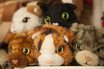 cat plush toys