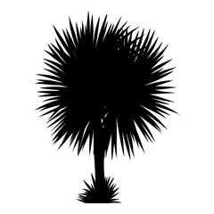 vector illustration of tropical tree silhouette