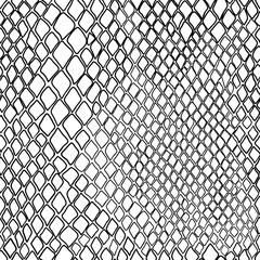 vector seamless black and white pattern of snake - 162810880