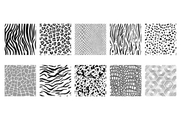 vector set of seamless black and white animal patterns - 162810892