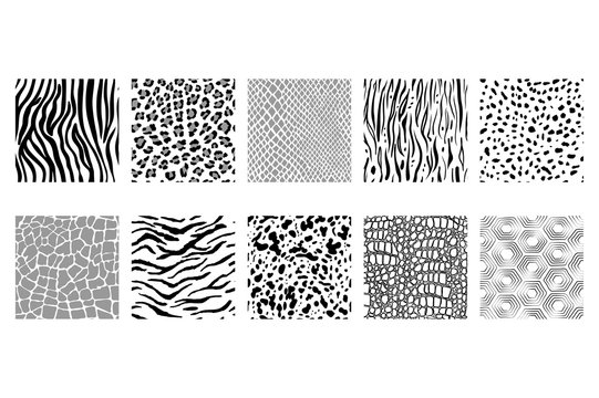 vector set of seamless black and white animal patterns