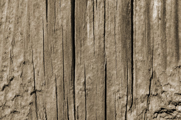 Wood cracked texture, vertical lines