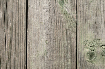 Wood texture, vertical lines