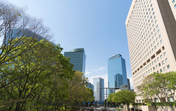 東京都市風景　春　東京都庁と新宿高層ビル群