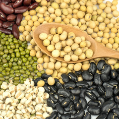 Soybeans, red beans, green beans, black beans,millet,on a white background.