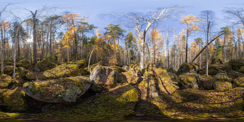 Fototapeta premium Panorama sferyczna 360 stopni 180 starych, porośniętych mchem głazów w lesie iglastym