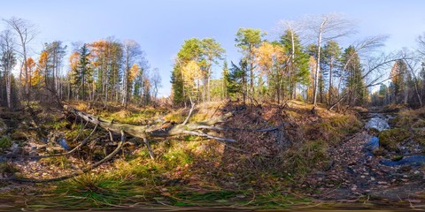 Spherical panorama 360 degrees 180 river stream in the forest and a fallen tree. vr content