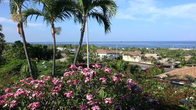 Scenic view of surroundings of Kailua-Kona. Big Island, Hawaii, USA