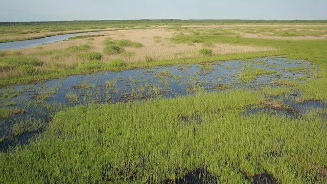 Aerial view of bog lands near the river valley