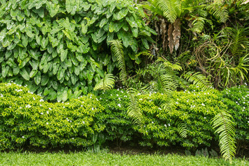  plant garden decorative