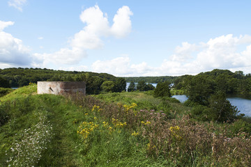 Hald Ruin ner Hald Lake in Denmark