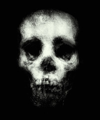 Scary skull isolated on black background, horror wallpaper - 162814841