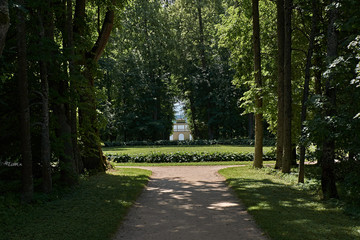 Shady alley in the park/On the sides of the alley are trees that make a shadow. At the end of the alley you can see a two-story house. Russia, Pskov region, nature, landscape