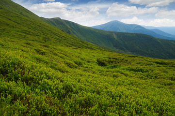 Fototapeta premium Mountain landscape in summer
