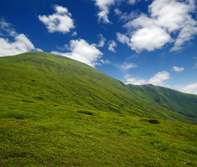Mountain landscape in summer
