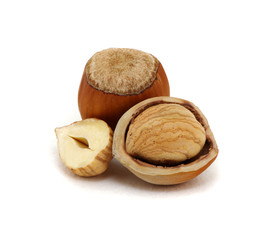 Closeup of hazelnuts