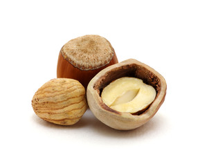 Closeup of hazelnuts