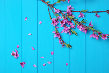  Spring flowers on wood