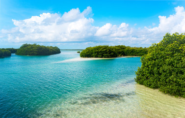 Archeology and nature of the Yukatan peninsula