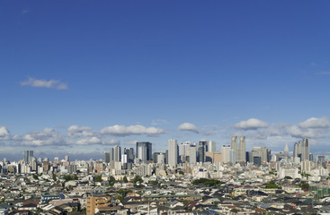 Fototapeta premium 東京都市風景 新宿高層ビル群 全景 中野坂上から代々木まで 東京スカイツリーも見えます 2017年