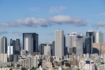 Fototapeta na wymiar 東京都市風景　新宿高層ビル群と東京スカイツリー　2017年　新しい超高層ビルあり　